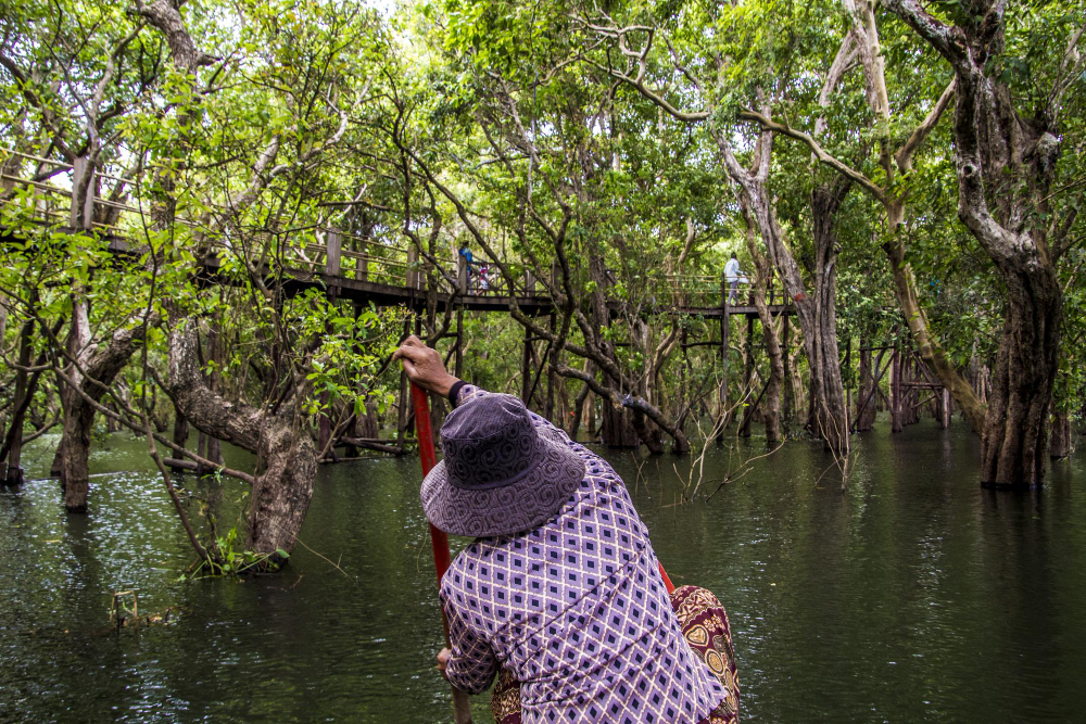 hutan mangrove merupakan salah satu contoh lahan basah