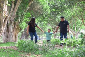 macam-macam hutan di indonesia sangatlah menarik untuk ditelusuri oleh anak dan keluarga