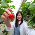 generasi strawberrry biasanya dilekatkan pada generasi z